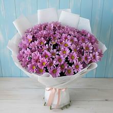 Букет цветов из:  Хризантемы в Курумоч