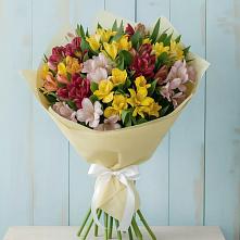 Букет цветов из:  Альстромерии #REPLACE_PRED# Курумоч